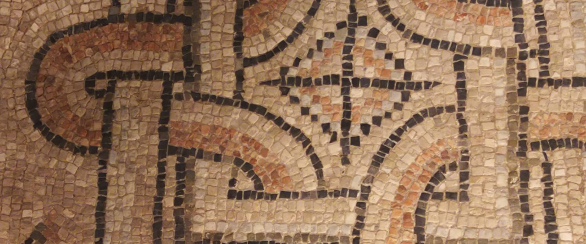 Domus dei tappeti di pietra - particolare foto di LadyBathory1974